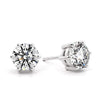 Eterna Stud Earrings